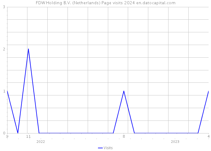FDW Holding B.V. (Netherlands) Page visits 2024 