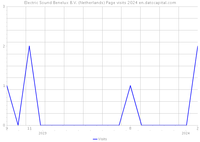 Electric Sound Benelux B.V. (Netherlands) Page visits 2024 