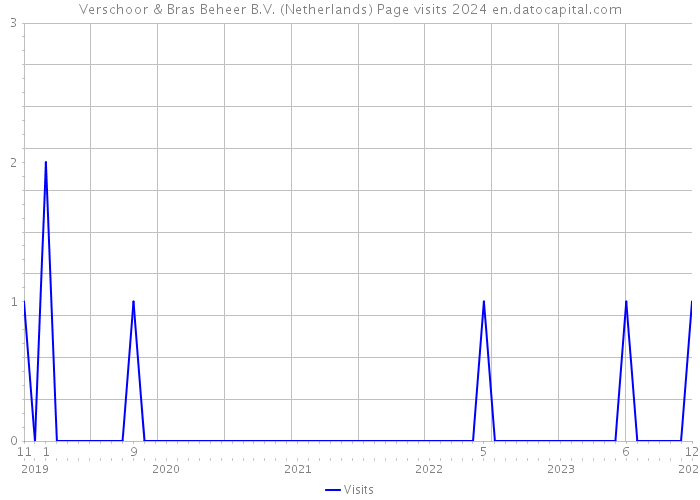 Verschoor & Bras Beheer B.V. (Netherlands) Page visits 2024 