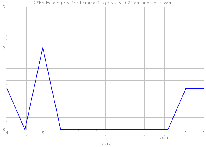 CSBM Holding B.V. (Netherlands) Page visits 2024 