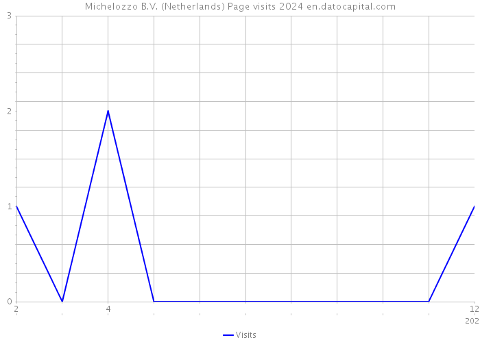 Michelozzo B.V. (Netherlands) Page visits 2024 