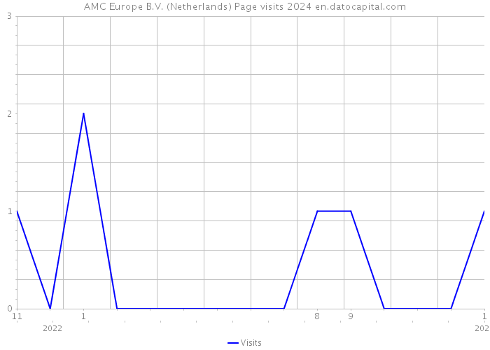 AMC Europe B.V. (Netherlands) Page visits 2024 