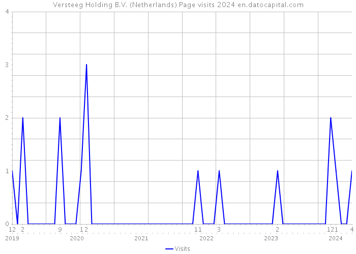 Versteeg Holding B.V. (Netherlands) Page visits 2024 
