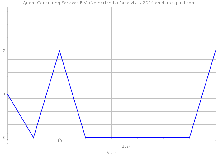 Quant Consulting Services B.V. (Netherlands) Page visits 2024 