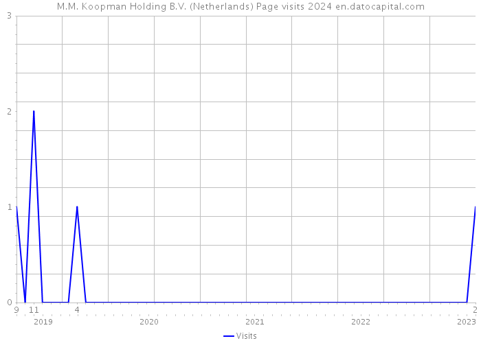 M.M. Koopman Holding B.V. (Netherlands) Page visits 2024 