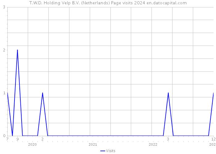 T.W.D. Holding Velp B.V. (Netherlands) Page visits 2024 