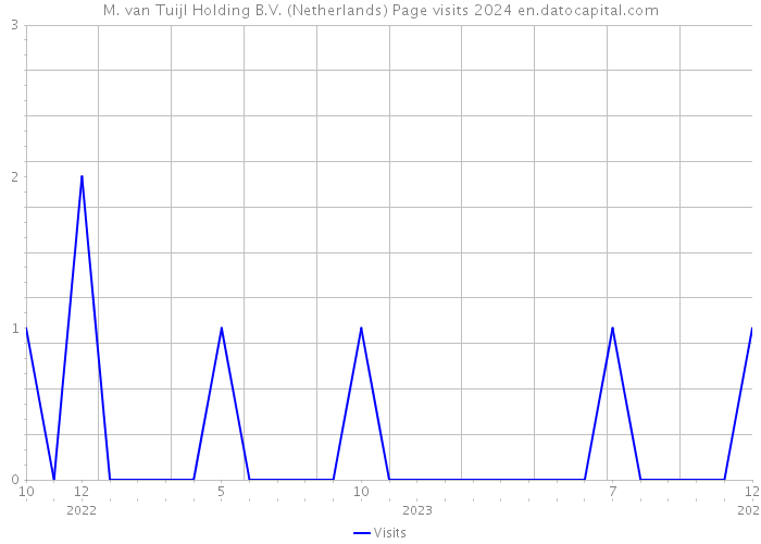 M. van Tuijl Holding B.V. (Netherlands) Page visits 2024 