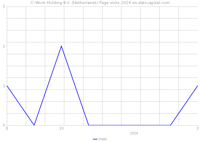 C-Work Holding B.V. (Netherlands) Page visits 2024 