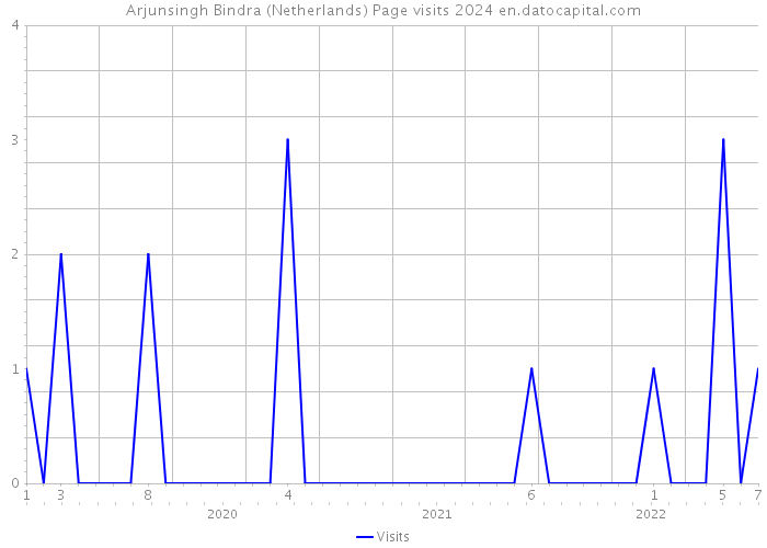 Arjunsingh Bindra (Netherlands) Page visits 2024 