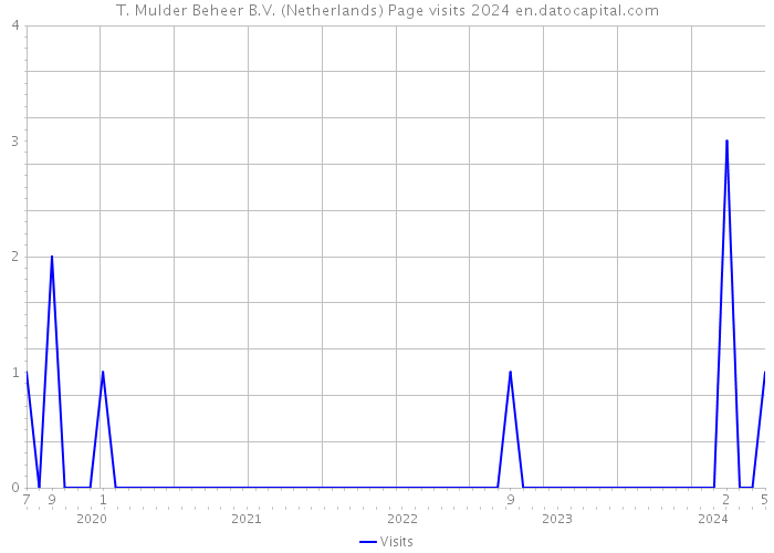 T. Mulder Beheer B.V. (Netherlands) Page visits 2024 