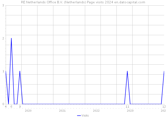RE Netherlands Office B.V. (Netherlands) Page visits 2024 