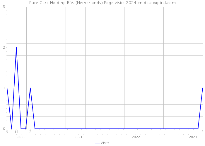 Pure Care Holding B.V. (Netherlands) Page visits 2024 