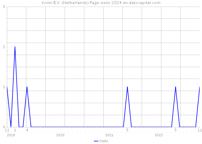 Kivits B.V. (Netherlands) Page visits 2024 