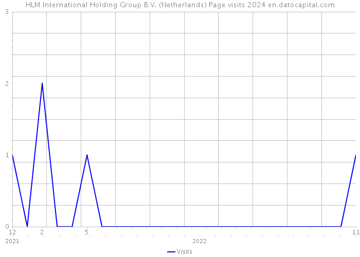 HLM International Holding Group B.V. (Netherlands) Page visits 2024 