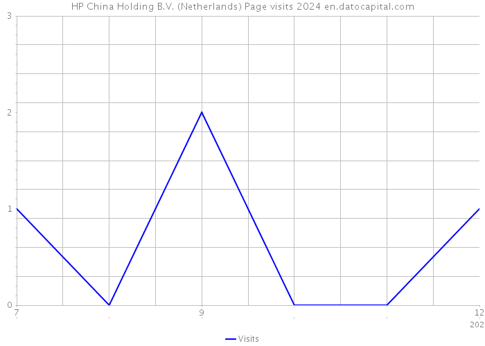 HP China Holding B.V. (Netherlands) Page visits 2024 