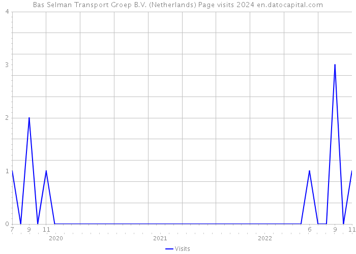 Bas Selman Transport Groep B.V. (Netherlands) Page visits 2024 