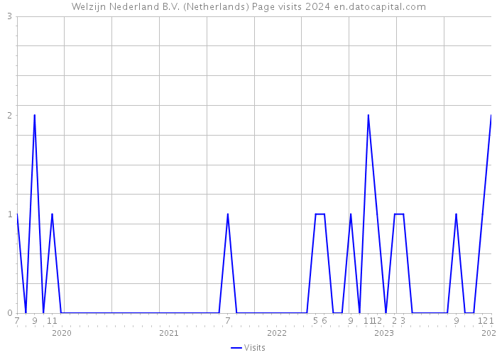 Welzijn Nederland B.V. (Netherlands) Page visits 2024 