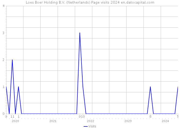 Loes Boer Holding B.V. (Netherlands) Page visits 2024 