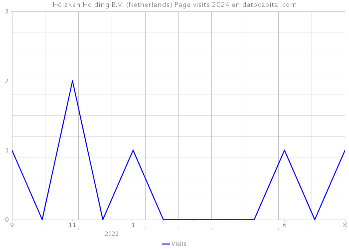 Hölzken Holding B.V. (Netherlands) Page visits 2024 