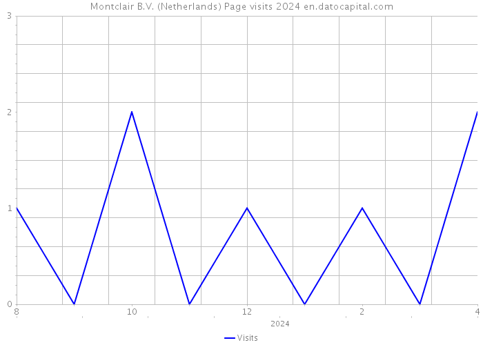 Montclair B.V. (Netherlands) Page visits 2024 