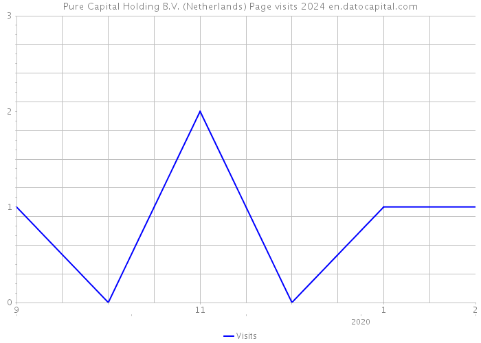 Pure Capital Holding B.V. (Netherlands) Page visits 2024 