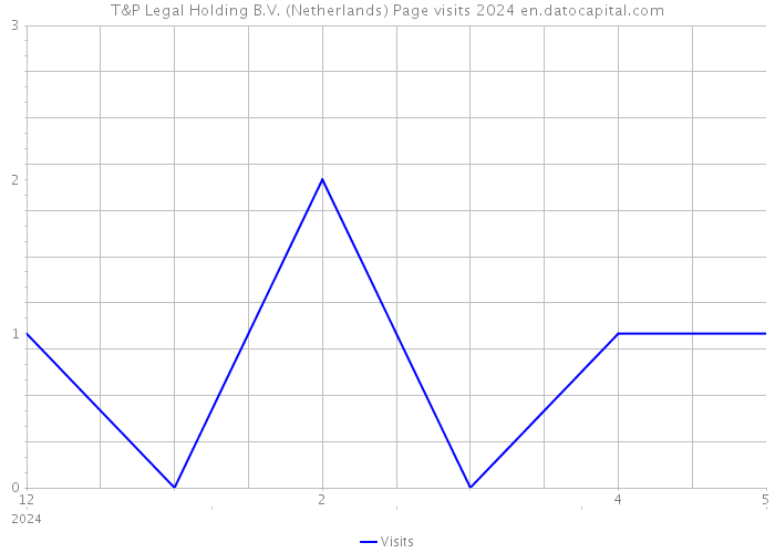 T&P Legal Holding B.V. (Netherlands) Page visits 2024 