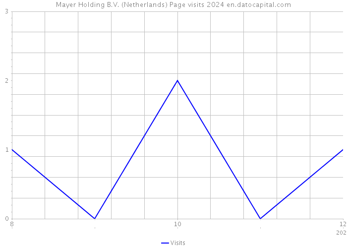 Mayer Holding B.V. (Netherlands) Page visits 2024 