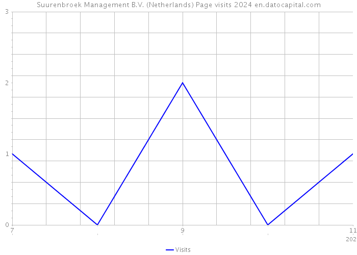 Suurenbroek Management B.V. (Netherlands) Page visits 2024 