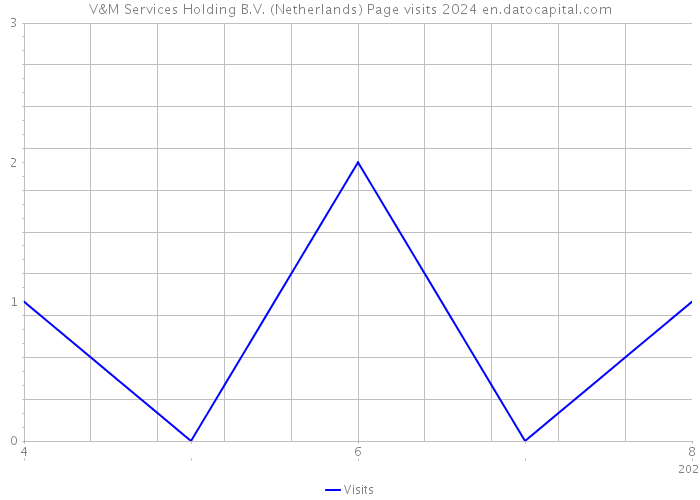 V&M Services Holding B.V. (Netherlands) Page visits 2024 