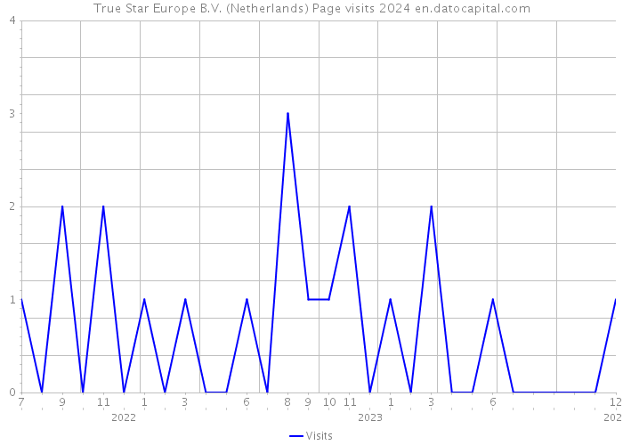 True Star Europe B.V. (Netherlands) Page visits 2024 