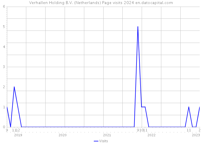 Verhallen Holding B.V. (Netherlands) Page visits 2024 