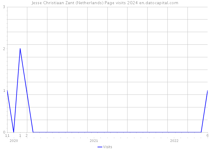 Jesse Christiaan Zant (Netherlands) Page visits 2024 