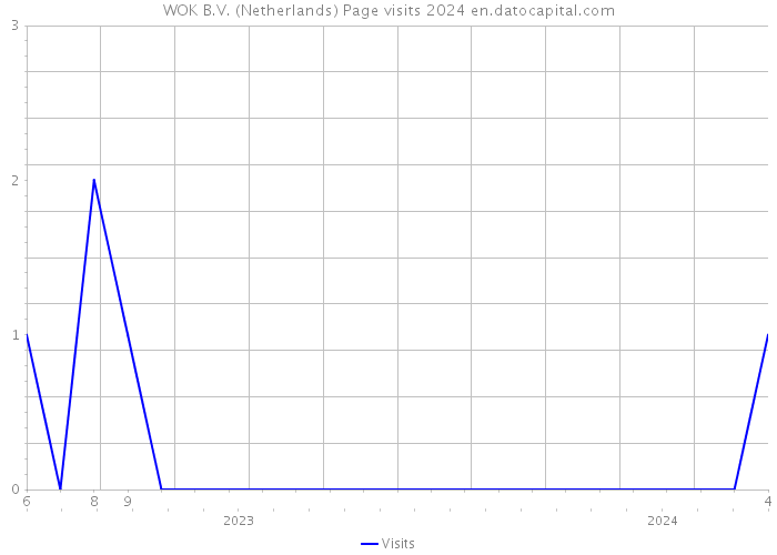 WOK B.V. (Netherlands) Page visits 2024 