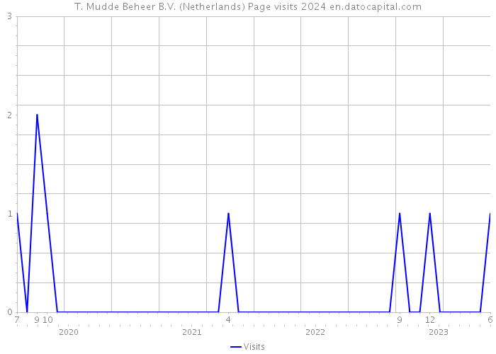 T. Mudde Beheer B.V. (Netherlands) Page visits 2024 