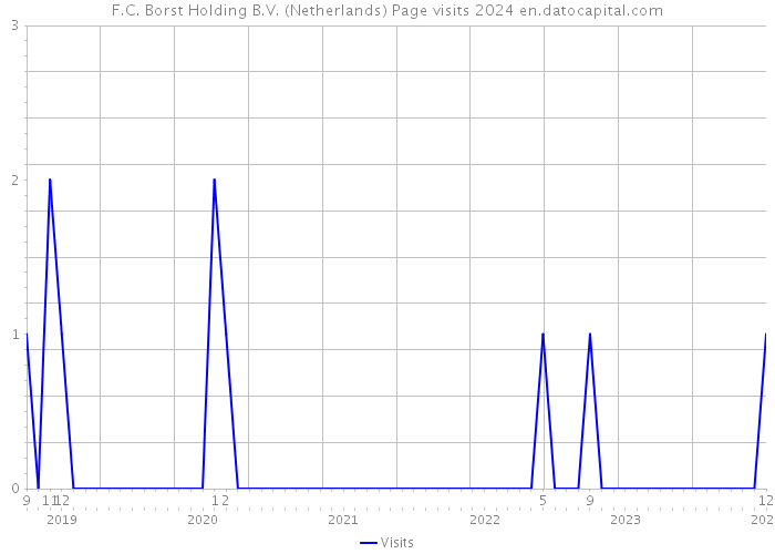F.C. Borst Holding B.V. (Netherlands) Page visits 2024 