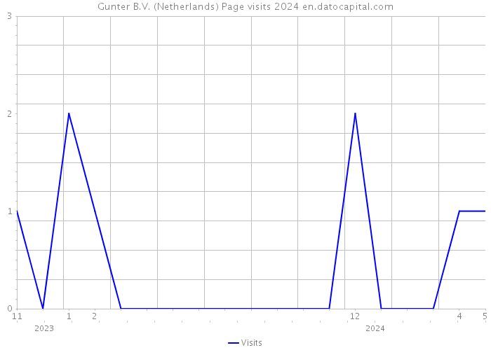 Gunter B.V. (Netherlands) Page visits 2024 