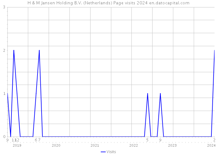 H & M Jansen Holding B.V. (Netherlands) Page visits 2024 