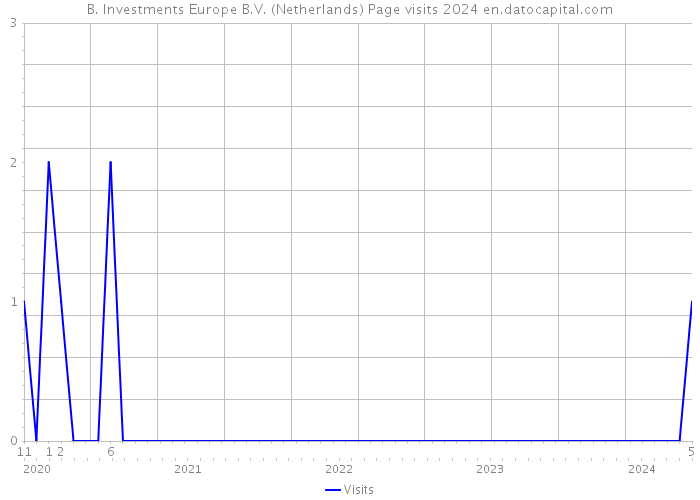 B. Investments Europe B.V. (Netherlands) Page visits 2024 