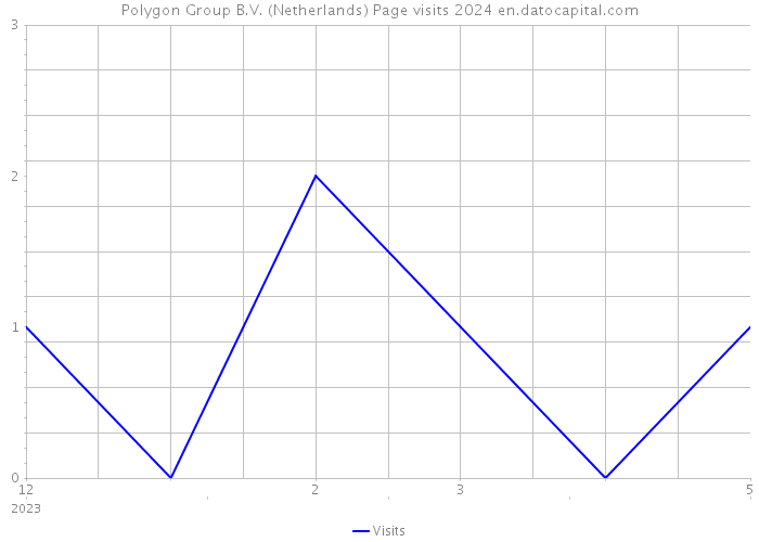 Polygon Group B.V. (Netherlands) Page visits 2024 