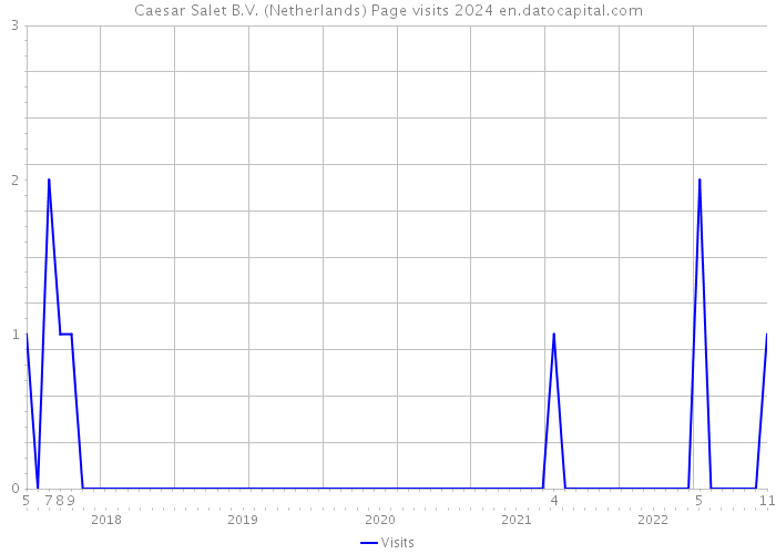 Caesar Salet B.V. (Netherlands) Page visits 2024 
