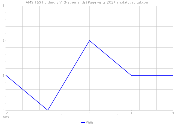 AMS T&S Holding B.V. (Netherlands) Page visits 2024 