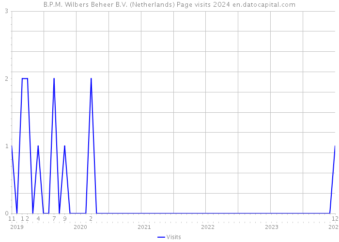 B.P.M. Wilbers Beheer B.V. (Netherlands) Page visits 2024 