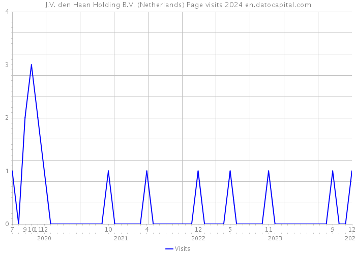 J.V. den Haan Holding B.V. (Netherlands) Page visits 2024 