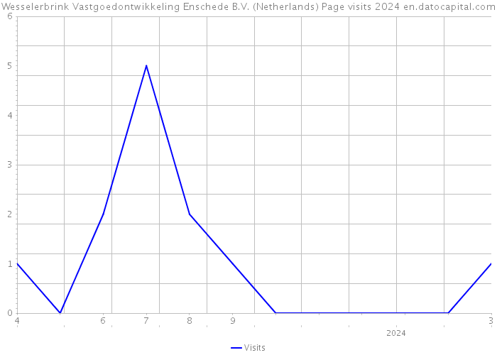 Wesselerbrink Vastgoedontwikkeling Enschede B.V. (Netherlands) Page visits 2024 