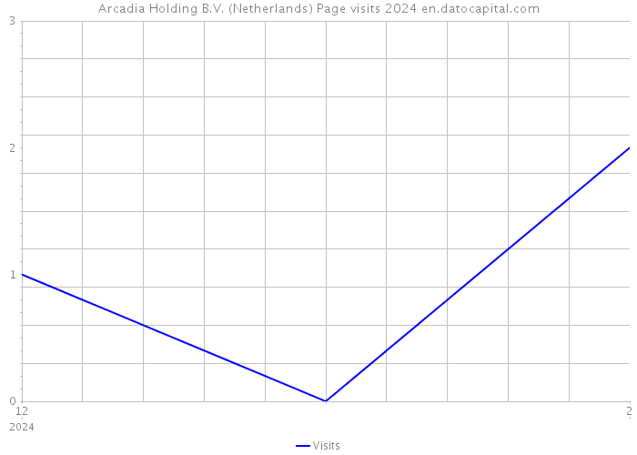 Arcadia Holding B.V. (Netherlands) Page visits 2024 