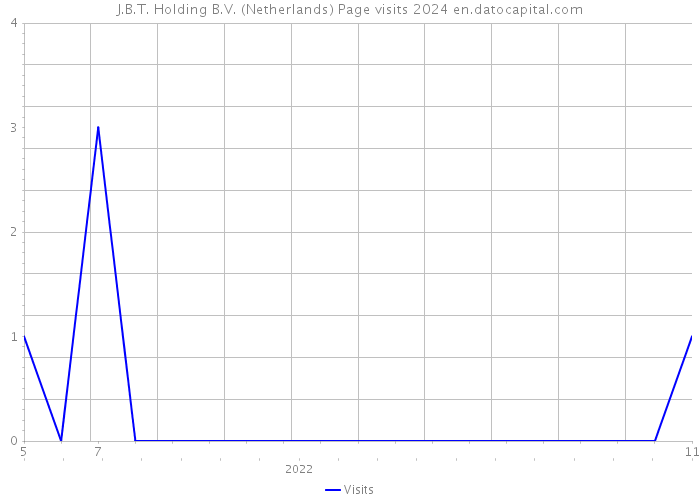 J.B.T. Holding B.V. (Netherlands) Page visits 2024 