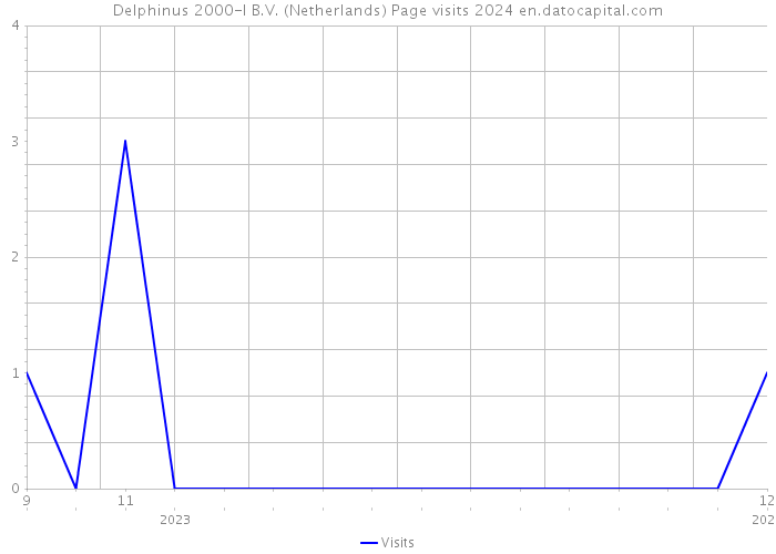 Delphinus 2000-I B.V. (Netherlands) Page visits 2024 