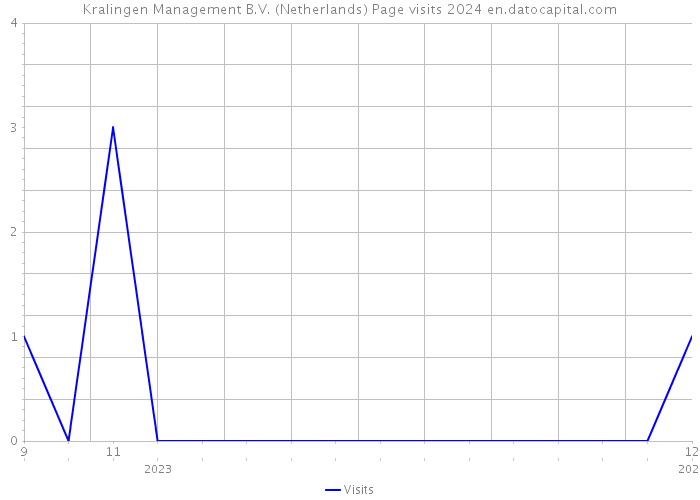 Kralingen Management B.V. (Netherlands) Page visits 2024 