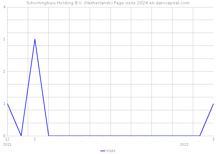 Schortinghuis Holding B.V. (Netherlands) Page visits 2024 
