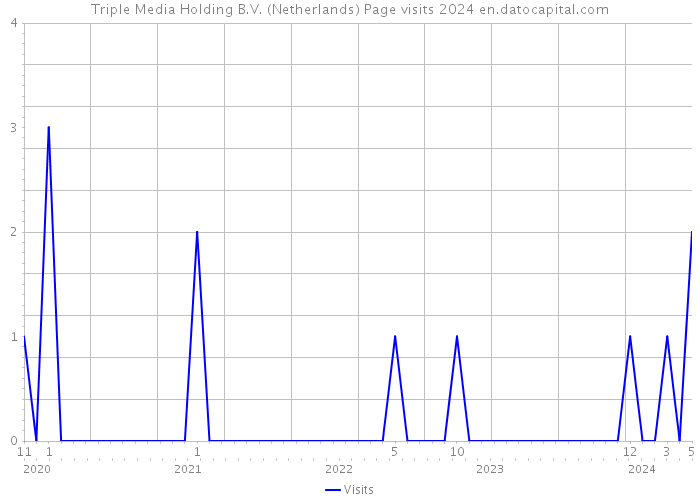 Triple Media Holding B.V. (Netherlands) Page visits 2024 